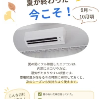 画像493